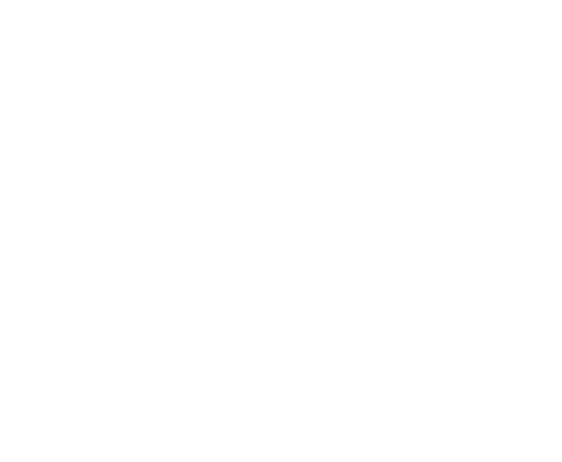 Management 3.0