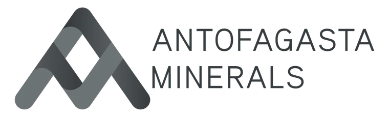 Logo AMSA